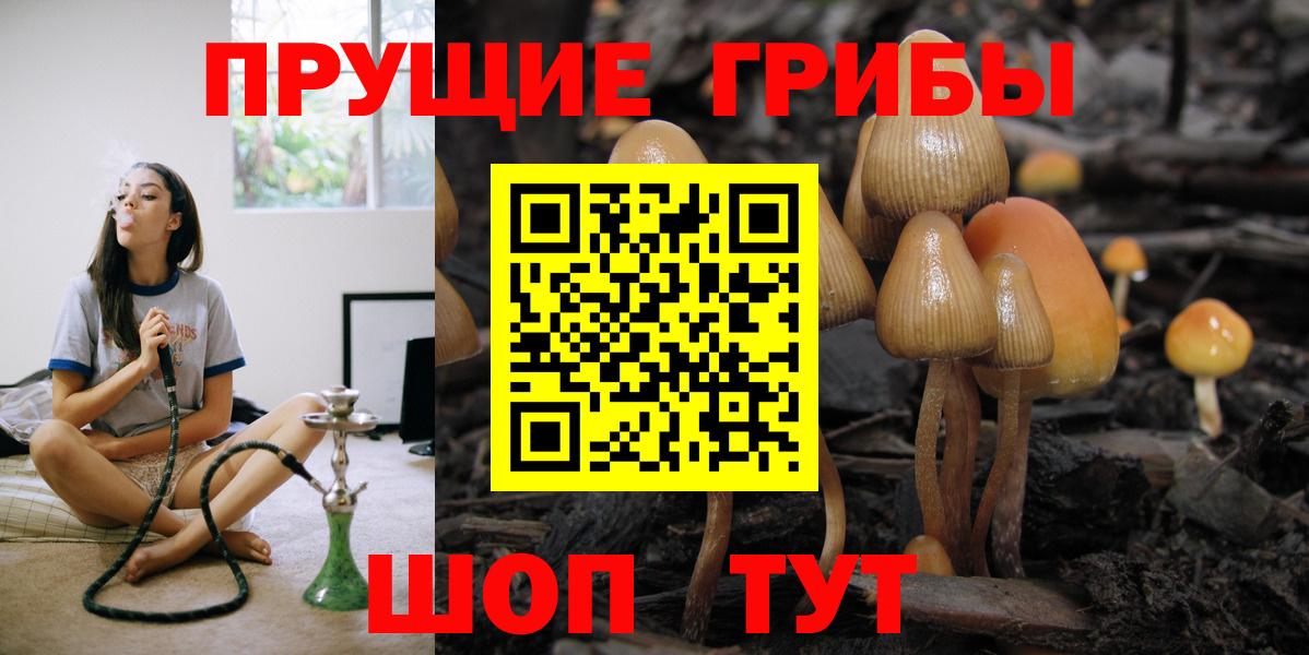 Галлюциногенные грибы Psilocybine cubensis Липецк